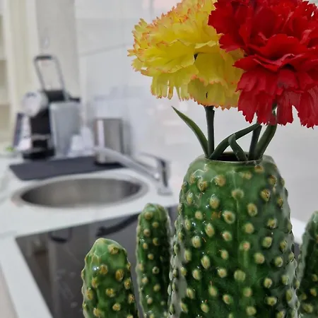 Superior * Κατάνια